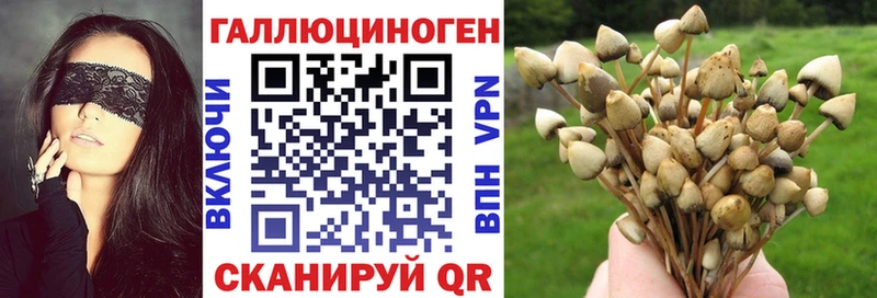 Галлюциногенные грибы MAGIC MUSHROOMS где купить наркоту это состав Чудово
